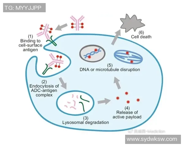 ViperADC:突破性ADC技术探索 ViperADC:突破性ADC技术探索