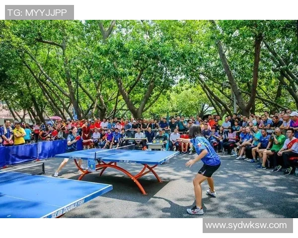 乒乓球激发全民运动热情的现代社会多维影响解析全景考察与启示录