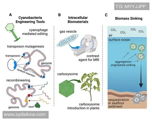 全方位解析现代体育运动的趋势与发展:从竞技到休闲的转变与未来展望 全方位解析现代体育运动的趋势与发展:从竞技到休闲的转变与未来展望