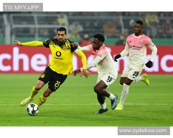 多特蒙德足球俱乐部的辉煌历史与未来发展前景分析