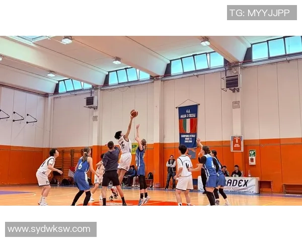 篮球竞技与文化融合：从赛场到街头的热情与挑战