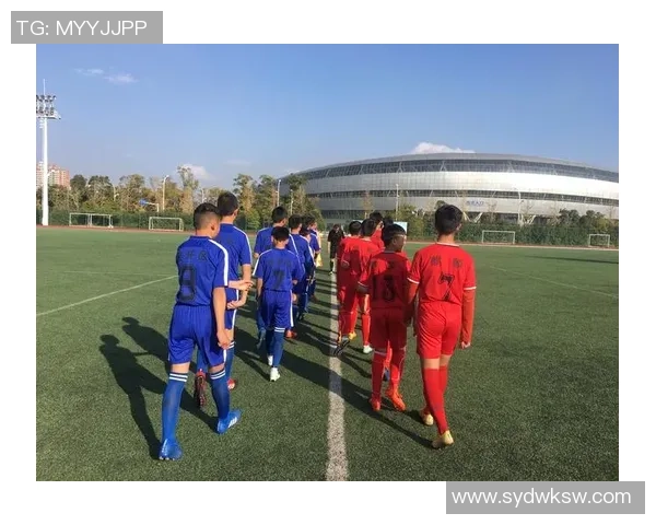 绿茵争锋世界豪强激战荣耀之巅追逐冠军梦想