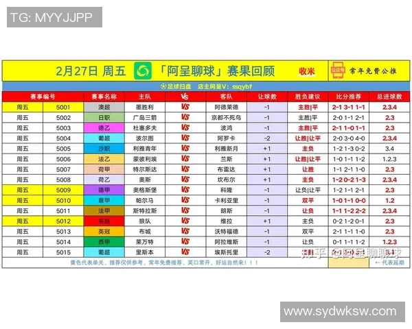 聚焦五大联赛全面解析欧洲足球新赛季竞争格局深度变动趋势走向研