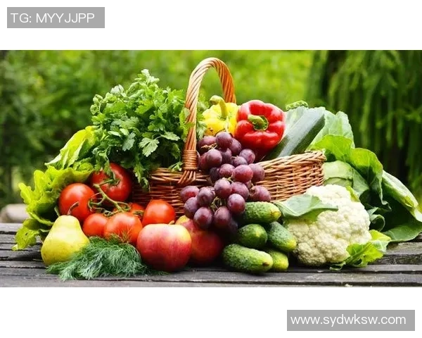 运动改变生活，提升健康与活力的全方位指南